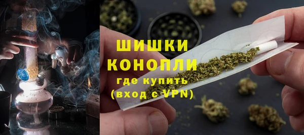 ГАЛЛЮЦИНОГЕННЫЕ ГРИБЫ Магас