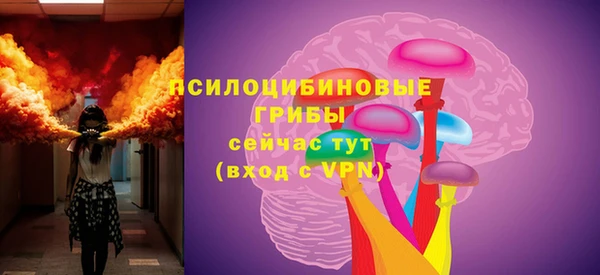 ГАЛЛЮЦИНОГЕННЫЕ ГРИБЫ Магас