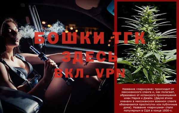 ГАЛЛЮЦИНОГЕННЫЕ ГРИБЫ Магас