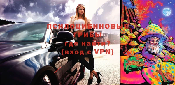 ГАЛЛЮЦИНОГЕННЫЕ ГРИБЫ Магас