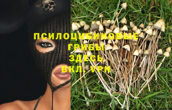 мет Майский