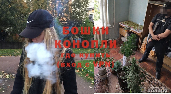 ГАЛЛЮЦИНОГЕННЫЕ ГРИБЫ Магас