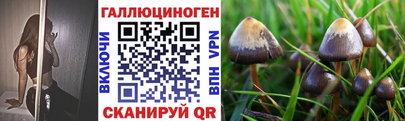 Галлюциногенные грибы GOLDEN TEACHER  Мыски 