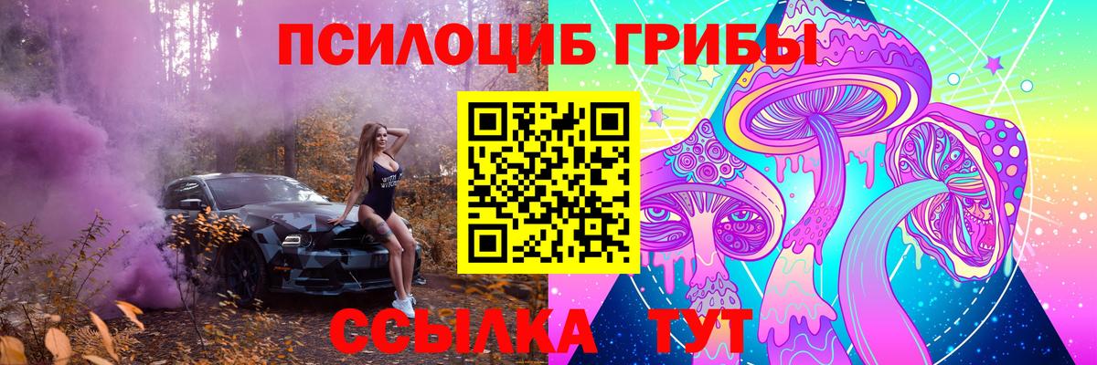 Псилоцибиновые грибы Psilocybe  Вход с VPN  Псилоцибиновые грибы Cubensis  Мыски 