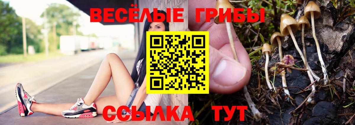 Псилоцибиновые грибы Cubensis Мыски
