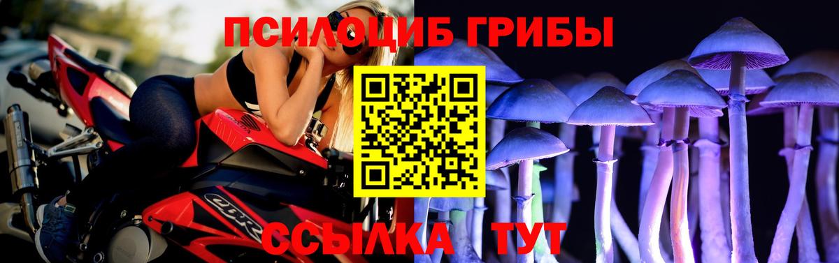 Псилоцибиновые грибы GOLDEN TEACHER Мыски